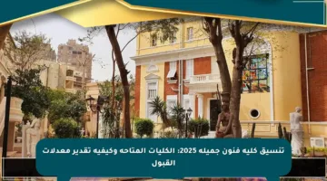 تنسيق كلية فنون جميلة 2025: الكليات المتاحة وكيفية تقدير معدلات القبول